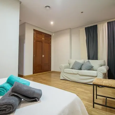 Apartment Centre Larios Street